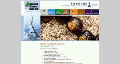 Desktop Screenshot of buckeyecarpetcare.com