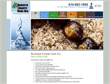 Tablet Screenshot of buckeyecarpetcare.com